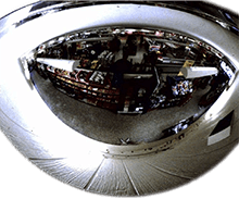 Half 180° Dome Mirror Stainless Steel - IFS Certified - Diameter 60 cm